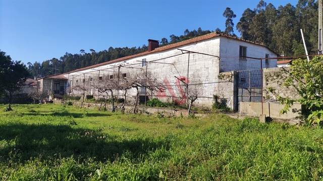 Quinta T5 - Viatodos, Barcelos, Braga - Imagem grande