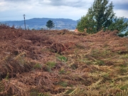 Terreno Urbano T0 - Penacova, Felgueiras, Porto - Miniatura: 8/9