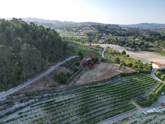 Terreno Rstico T0 - Casteles, Penafiel, Porto - Imagem grande