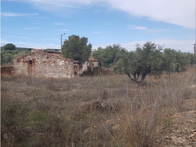 Terreno Urbano - Matriz (Borba), Borba, vora - Imagem grande