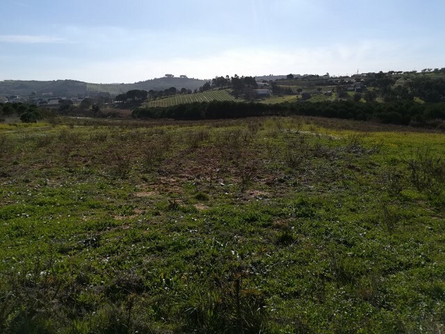 Terreno Urbano - Manique do Intendente, Azambuja, Lisboa - Imagem grande