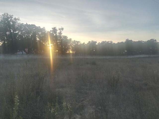 Terreno Urbano - Vale da Pedra, Cartaxo, Santarm - Imagem grande