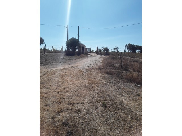 Terreno Rstico - Manique do Intendente, Azambuja, Lisboa - Imagem grande