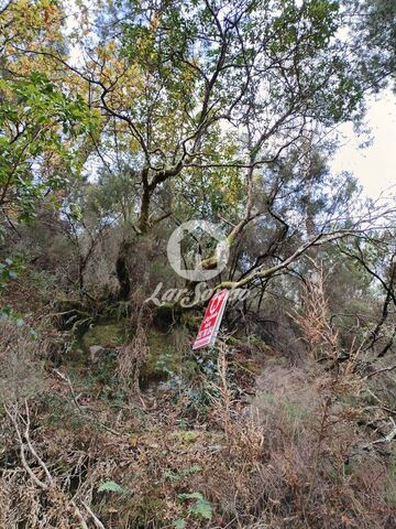 Terreno Rstico - Vilar da Veiga, Terras de Bouro, Braga - Imagem grande