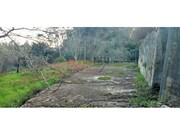 Terreno Rstico - Nogueira do Cravo, Oliveira de Azemis, Aveiro - Miniatura: 3/9