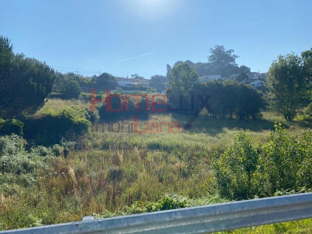 Terreno Urbano - Branca, Albergaria-a-Velha, Aveiro - Imagem grande