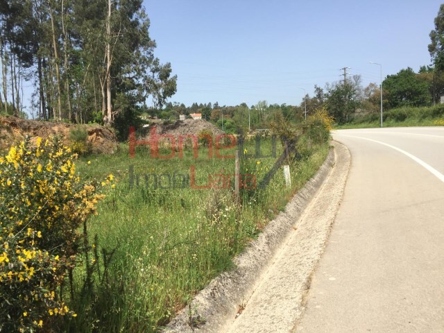 Terreno Rstico - Oliveira de Azemeis, Oliveira de Azemis, Aveiro - Imagem grande