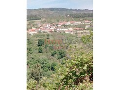 Terreno Rstico - Aves, Lamego, Viseu