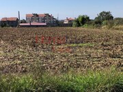 Terreno Urbano - Branca, Albergaria-a-Velha, Aveiro - Miniatura: 4/8