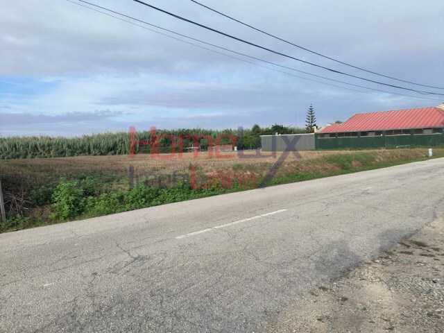 Terreno Urbano - lhavo, lhavo, Aveiro - Imagem grande