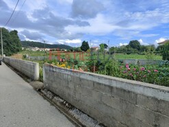 Terreno Rstico - Branca, Albergaria-a-Velha, Aveiro