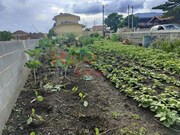 Terreno Rstico - Branca, Albergaria-a-Velha, Aveiro - Miniatura: 1/5