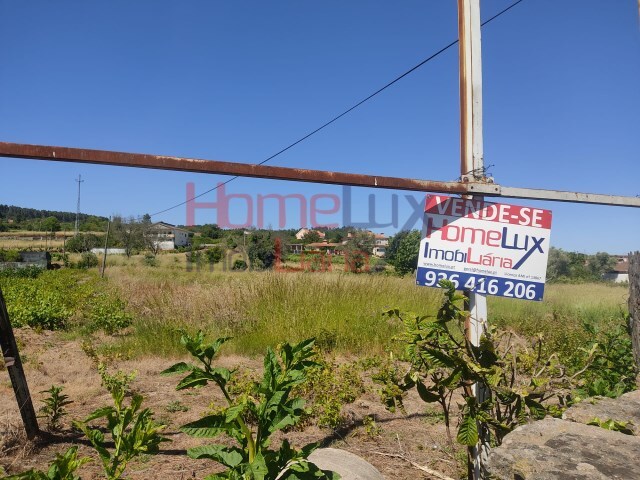 Terreno Rstico - So Martinho de Antas e Paradela de Guies, Sabrosa, Vila Real - Imagem grande