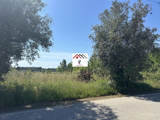 Terreno Rstico - So Loureno do Bairro, Anadia, Aveiro - Imagem grande