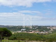 Terreno Rstico - Alcabideche, Cascais, Lisboa - Miniatura: 3/9