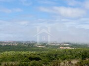 Terreno Rstico - Alcabideche, Cascais, Lisboa - Miniatura: 4/9