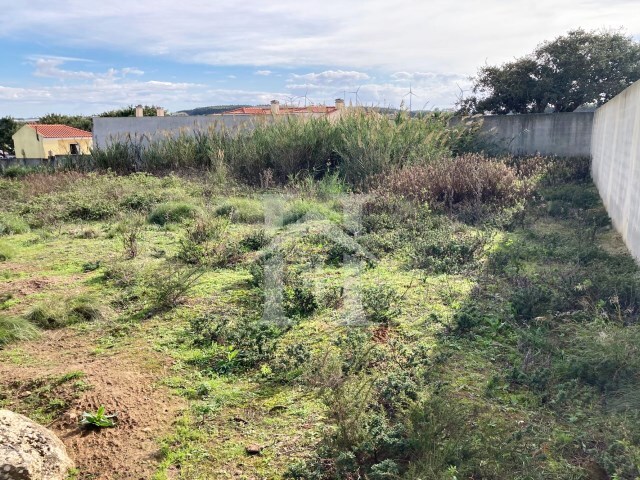 Terreno Rstico - Reguengo Grande, Lourinh, Lisboa - Imagem grande