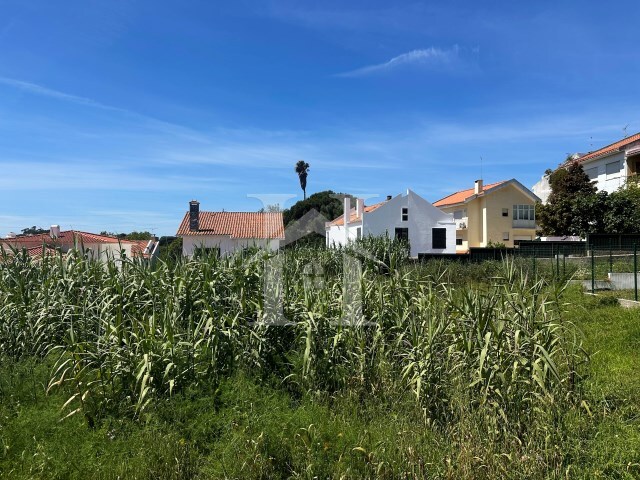 Terreno Rstico - Alcabideche, Cascais, Lisboa - Imagem grande