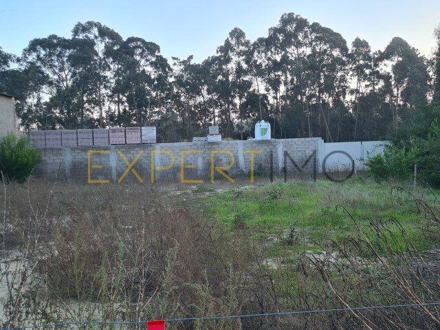 Terreno Rstico - Gafanha da Encarnao, lhavo, Aveiro - Imagem grande