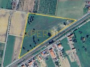 Terreno Rstico - Peges, Montijo, Setbal - Miniatura: 1/5