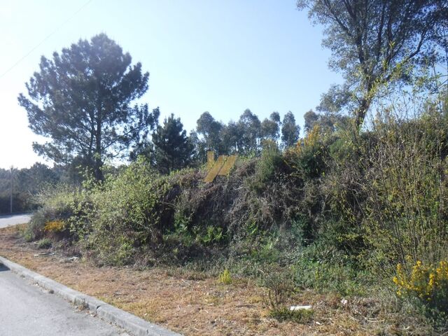 Terreno Rstico - Santa Maria da Feira, Santa Maria da Feira, Aveiro - Imagem grande