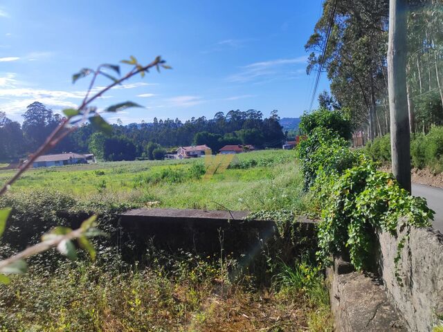 Terreno Rstico - Sanguedo, Santa Maria da Feira, Aveiro - Imagem grande