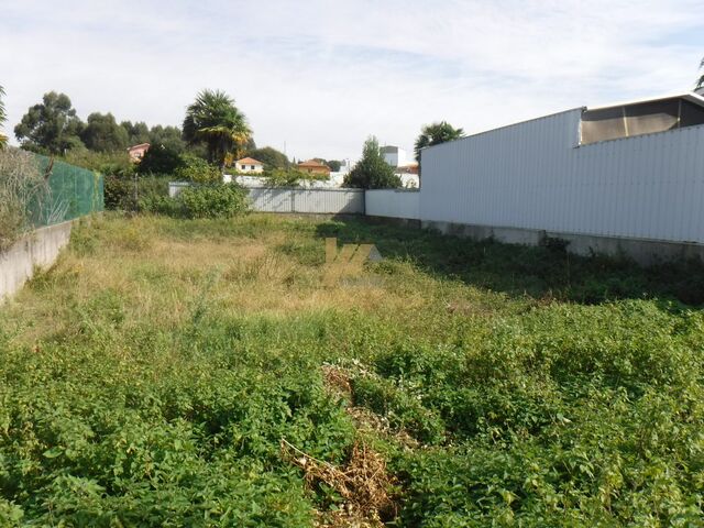 Terreno Rstico - Lourosa, Santa Maria da Feira, Aveiro - Imagem grande