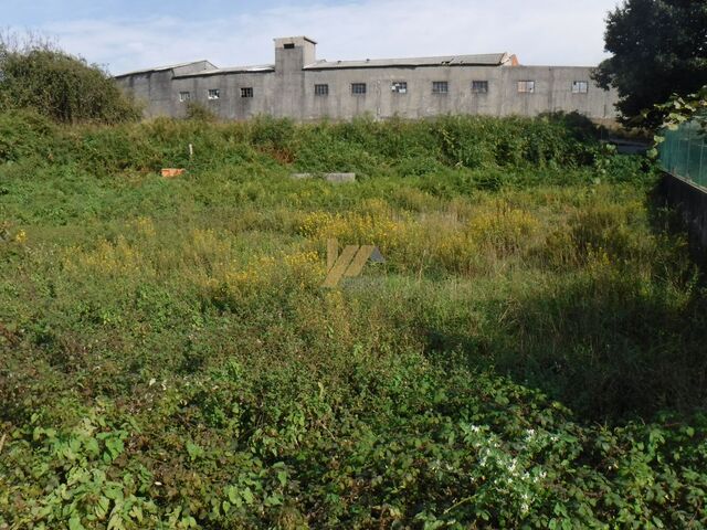 Terreno Rstico - Lourosa, Santa Maria da Feira, Aveiro - Imagem grande