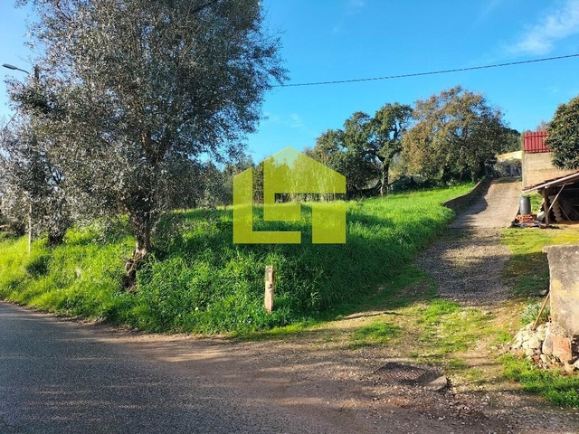 Terreno Rstico - So Martinho do Bispo, Coimbra, Coimbra - Imagem grande