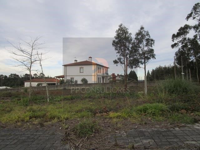 Terreno Rstico - Valongo do Vouga, gueda, Aveiro - Imagem grande