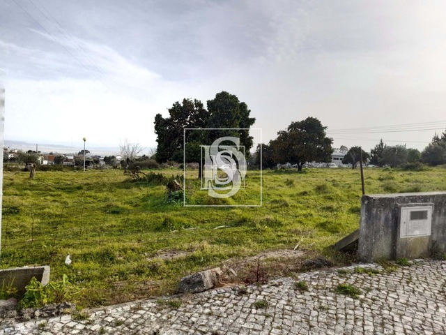 Terreno Rstico T0 - Carapinheira, Montemor-o-Velho, Coimbra - Imagem grande