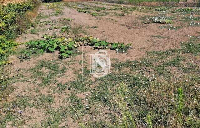 Terreno Rstico T0 - Alqueido, Figueira da Foz, Coimbra - Imagem grande