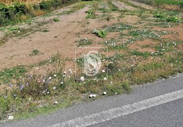 Terreno Rstico T0 - Alqueido, Figueira da Foz, Coimbra - Miniatura: 2/17