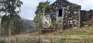 Quinta T2 - Talhadas, Sever do Vouga, Aveiro - Miniatura: 7/14