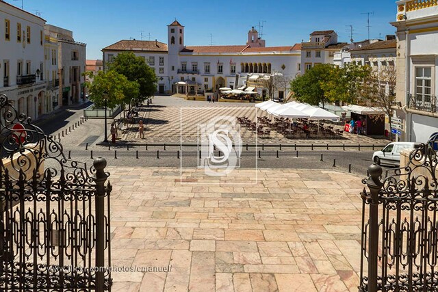 Apartamento T3 - Santa Eullia, Elvas, Portalegre - Imagem grande