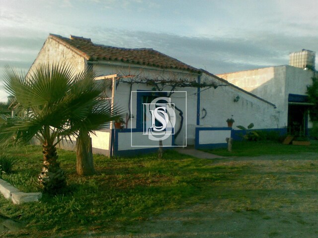 Terreno Rstico T0 - Esprito Santo, Nisa, Portalegre - Imagem grande