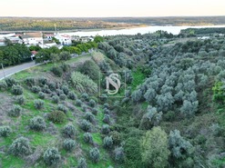 Terreno Rstico T0 - Montargil, Ponte de Sor, Portalegre - Miniatura: 2/9