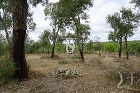 Terreno Rstico T0 - Ponte de Sor, Ponte de Sor, Portalegre - Miniatura: 4/25