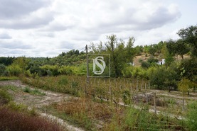 Terreno Rstico T0 - Ponte de Sor, Ponte de Sor, Portalegre - Miniatura: 22/25