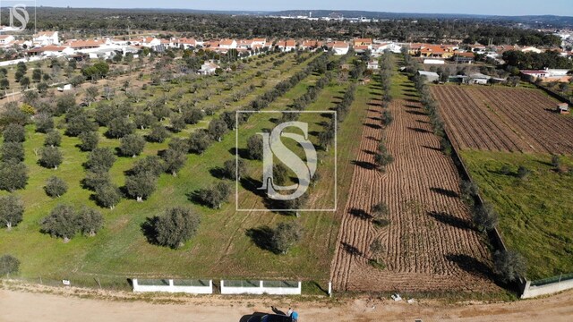 Terreno Rstico T0 - Ponte de Sor, Ponte de Sor, Portalegre - Imagem grande