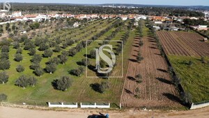 Terreno Rstico T0 - Ponte de Sor, Ponte de Sor, Portalegre