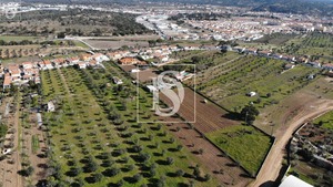 Terreno Rstico T0 - Ponte de Sor, Ponte de Sor, Portalegre - Miniatura: 4/13