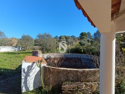 Terreno Rstico T0 - Mouriscas, Abrantes, Santarm - Miniatura: 13/19