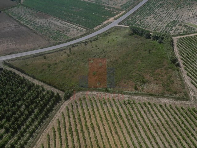 Terreno Rstico - Reguengo Grande, Lourinh, Lisboa - Imagem grande