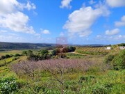 Terreno Rstico - Santa Maria, bidos, Leiria - Miniatura: 1/9