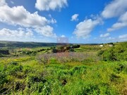 Terreno Rstico - Santa Maria, bidos, Leiria - Miniatura: 2/9