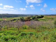 Terreno Rstico - Santa Maria, bidos, Leiria - Miniatura: 3/9