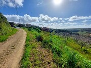 Terreno Rstico - Santa Maria, bidos, Leiria - Miniatura: 5/9