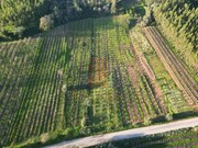 Terreno Rstico - Alvorninha, Caldas da Rainha, Leiria - Miniatura: 6/6