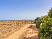 Terreno Rstico - Vila do Bispo, Vila do Bispo, Faro (Algarve) - Miniatura: 9/9